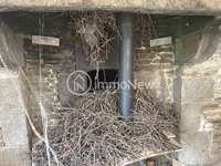 Longère et corps de ferme 4 pièces