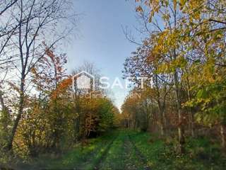 Longère et corps de ferme 6 pièces