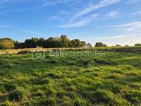 Longère et corps de ferme 6 pièces Longère et corps de ferme 6 pièces