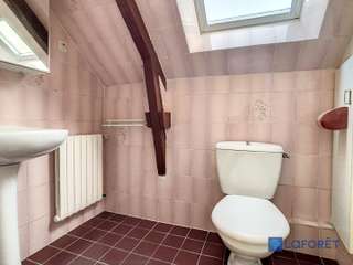 Longère et corps de ferme 19 pièces