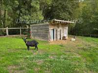 Longère et corps de ferme 9 pièces