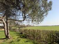 Longère et corps de ferme 8 pièces