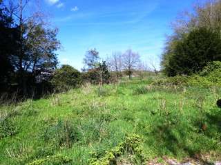 Longère et corps de ferme 5 pièces