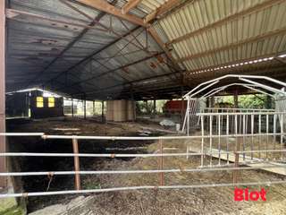 Longère et corps de ferme 7 pièces