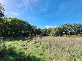 Longère et corps de ferme 4 pièces
