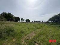 Longère et corps de ferme 5 pièces
