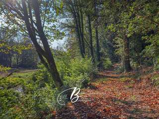 Longère et corps de ferme 8 pièces