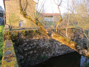 Longère et corps de ferme 1 pièce