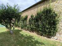 Longère et corps de ferme 5 pièces