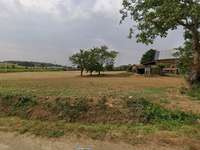 Longère et corps de ferme