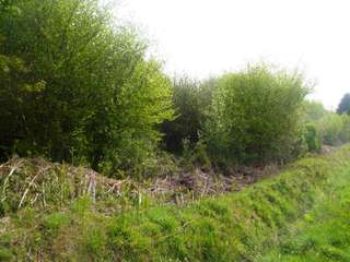 Longère et corps de ferme 2 pièces