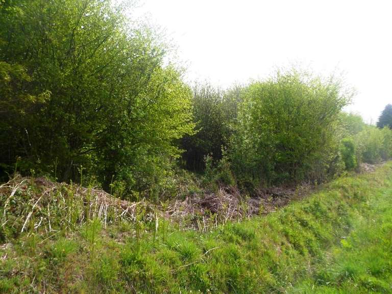 Longère et corps de ferme 2 pièces