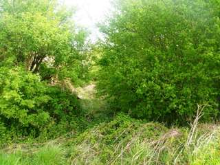 Longère et corps de ferme 2 pièces