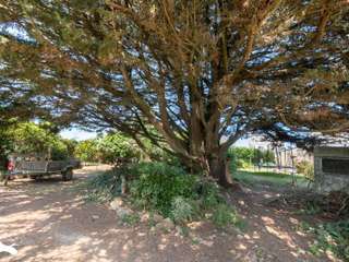 Longère et corps de ferme 7 pièces