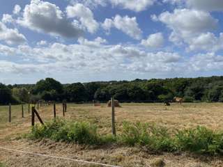 Longère et corps de ferme 5 pièces