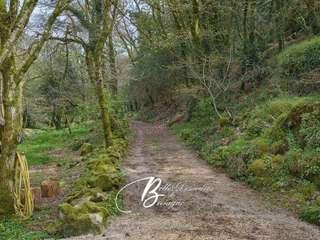 Longère et corps de ferme 4 pièces