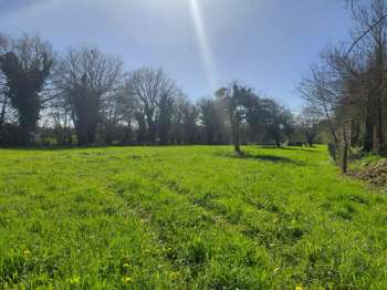 Longère et corps de ferme 3 pièces