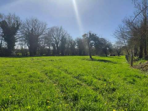 Longère et corps de ferme 3 pièces