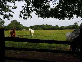 Longère et corps de ferme 7 pièces