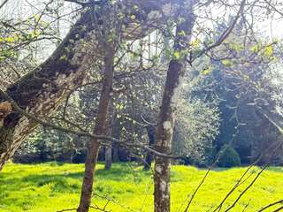Longère et corps de ferme 5 pièces