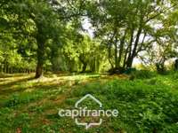 Longère et corps de ferme 12 pièces