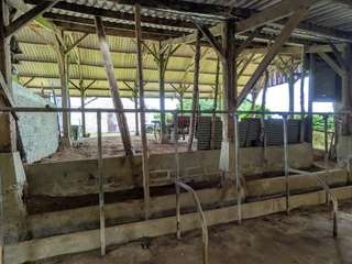 Longère et corps de ferme 5 pièces