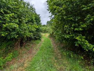 Longère et corps de ferme 5 pièces