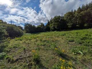 Longère et corps de ferme 12 pièces