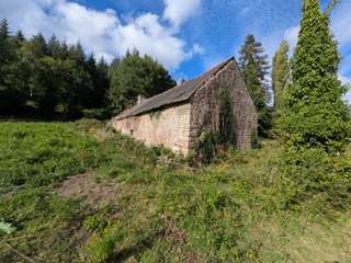 Longère et corps de ferme 12 pièces