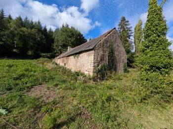 Longère et corps de ferme 10 pièces