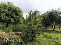 Longère et corps de ferme 8 pièces