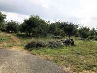 Longère et corps de ferme 8 pièces