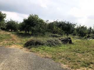 Longère et corps de ferme 8 pièces