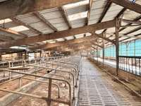 Longère et corps de ferme 6 pièces