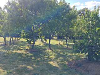 Longère et corps de ferme 3 pièces