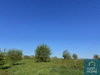 Longère et corps de ferme 12 pièces
