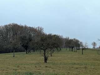 Longère et corps de ferme 7 pièces
