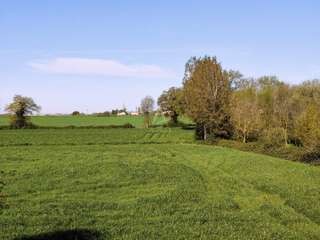 Longère et corps de ferme 6 pièces