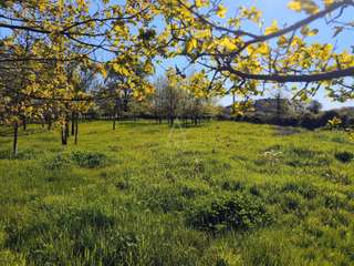 Longère et corps de ferme 6 pièces