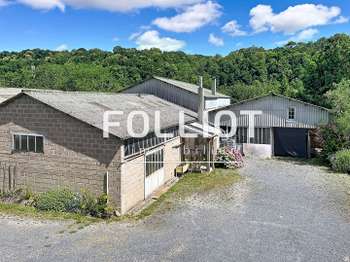 Vente maison 10 pièces