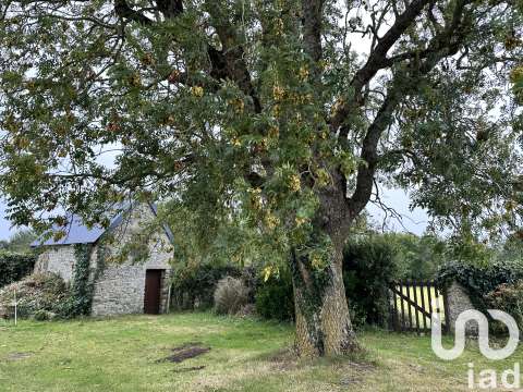 Vente maison 7 pièces Agon-Coutainville 50