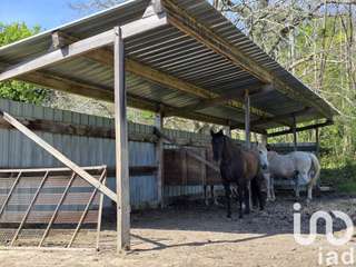 Vente maison 11 pièces