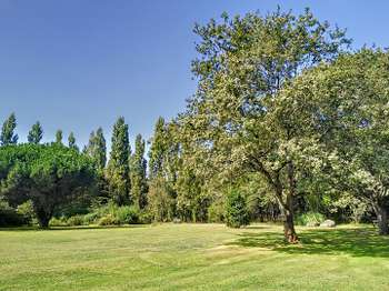 Vente maison 13 pièces Aizenay 85