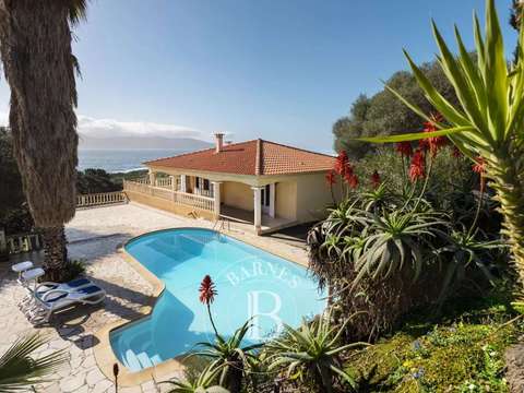 Vente maison 10 pièces Ajaccio 2A