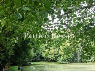 Vente maison 15 pièces