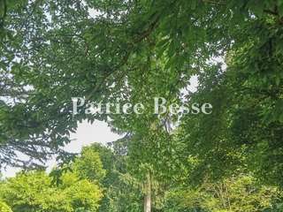 Vente maison 15 pièces
