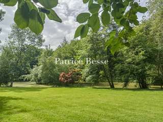 Vente maison 15 pièces
