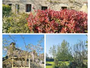 Vente Maison 4 chambresAllaire