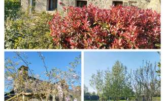 Photo Vente maison Allaire