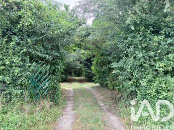 Vente maison 4 pièces Allouis 18